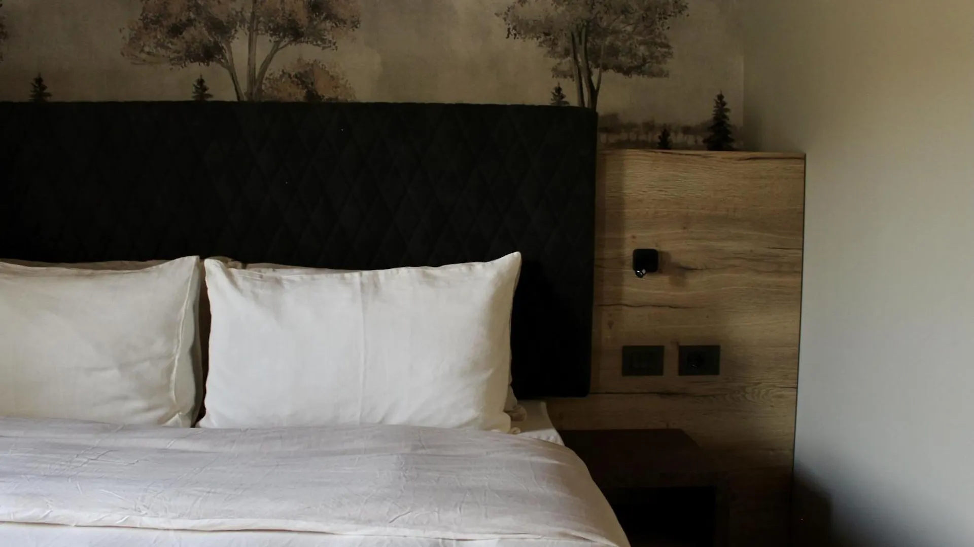 Ida Boutique Hotel أسولو 3*,  إيطاليا